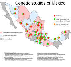 Mexico Indian Tribes Map Do Most Mexicans Identify More As European Or Native American? - Quora