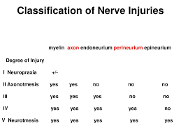 As referenced to seddon and sunderland classifications. Ppt Peripheral Nerve Injuries Powerpoint Presentation Free Download Id 521215