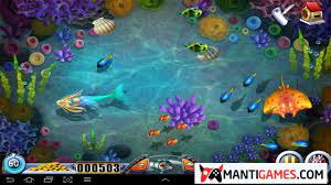 Best Fish Games You Can Play Online And Free No Download Needed Fishing Game Fish Games