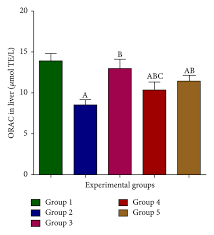 Image result for Hypoxis nyasica