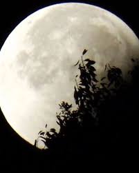 Cette configuration a l'agacement comme effet notable. Pleine Lune Et Eclipse Lunaire Du 5 Juillet Rituel Yogique Pour Reveiller Votre Enfant Interieur Femininbio