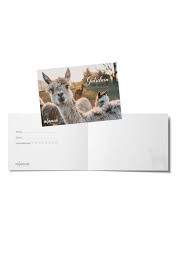 Valid indefinitely it is valid indefinitely. Gift Voucher 200
