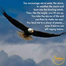So, in the storms of life may your heart be like an eagle's and soar above. Soaring Above The Storms A Prayer For Focus Inspirational Quotes Eagles Quotes Inspirational Prayers