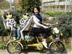 pin by kate furuichi on bicycle for twins bicycle twins vehicles