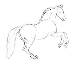 Use simple shapes to create the basic structure of the horse. How To Draw A Horse With Pencil