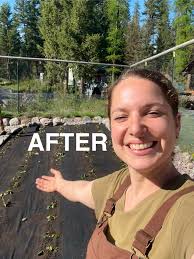 How to improve strawberry production in a 4x4 patch?