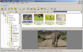 Xnview is a free software for windows that allows you to view, resize and edit your photos. Irfanview Vs Xnview Which One Is Better Image Viewer For Windows Pc
