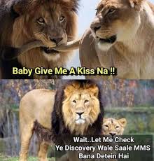 Image result for jokes meme