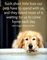 Give him your heart and he will give you his. Quotes About Dogs Short 42 Quotes