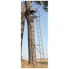 The seat is 19 ¼ by 11 ¾, and the platform is 22 ¾ by 17 ¼. Sniper Intimidator 18 Ladder Tree Stand 663267 Ladder Tree Stands At Sportsman S Guide