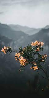 Nature Inspired Jewelry Flowersbackgroundiphone We Aim To Harness And Express Natures Phenomenon Nature Wallpaper Aesthetic Wallpapers Background Pictures