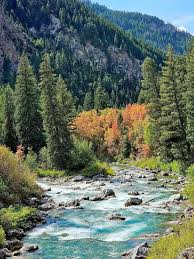 winkwink333 cute wink pigtails ride