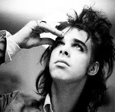 Carol Cat (@nicecatcarol)