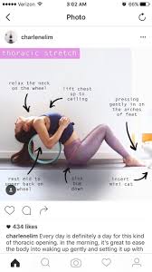 The Different Types Of Yoga And Their Classifications Explained Dharma Yoga Wheel Yoga Wheel Exercises Yoga Wheel