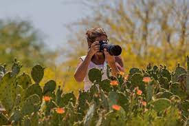 Learning About Lisa Manifold Freelance Wildlife Nature Photographer Nature Photographs Wildlife Nature Wildlife