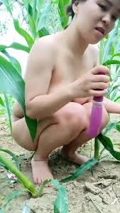 MARLBOROQUEENSEX - CEWEK BUGIL MAIN DILDO DI KEBUN JAGUNG