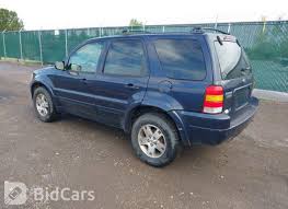 Image result for True Blue 2004 Escape