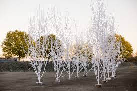 Deco noel avec branche bois. Grossiste Decorations Naturelles De Noel Rochefort Sapins Grossiste De Sapins De Noel A Rochefort