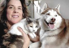 42785p3 text:38908p3 Text