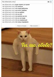 Kak Obyasnit Kotu Chto Russian Jokes Cats Memes
