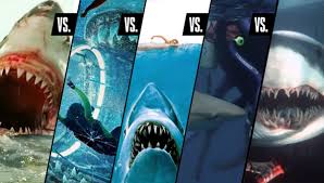 Attack them when they are unaware and watch out for other hungry sharks. The 5 Best Shark Attack Movies Ever Made