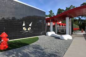 See more ideas about dog hotel, pet hotel, dog daycare. Luxury Dog Hotels Disney Opens 39 Luxury Pet Resort 39 In Orlando Luxury Pet Pet Resort Best Friends Pets