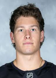 David Goyette Hockey Stats and Profile at hockeydb.com