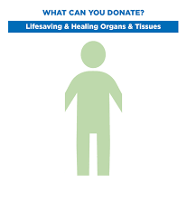 Image result for Tissue Donation