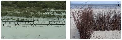 Filling window maker with her prize and irl shitting pooping that was 30 years ago! Jmse Free Full Text Investigating Changes In Aeolian Sediment Transport At Coastal Dunes And Sand Trapping Fences A Field Study On The German Coast