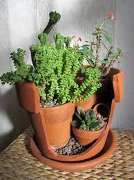 I think they'd make for i'm sure there are so many more adorable cactus puns that would make for great cards for significant others. Upcycled Broken Pot Cactus Succulent Garden By Salvagednature Upcycle Garden Succulents Succulents Garden