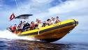 Snorkel Tour Oahu, Whale watching, Swimming with Wild Dolphins