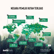 Total luas negara rusia yaitu 17,098 juta km persegi. 10 Negara Pemilik Hutan Terluas Di Dunia Bagaimana Posisi Indonesia
