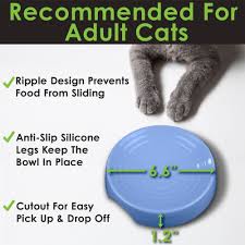 Catguru New Premium Whisker Stress Free Cat Food Bowl Reliefs Whisker Fatigue Wide Cat Dish Non Slip Cat Feeding Bowls Cat Feeding Cat Food Bowl Free Cat Food