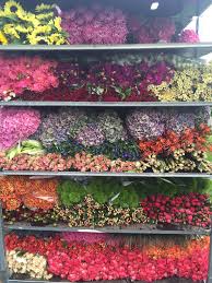 We did not find results for: Flowers By Peter Boeijkens Posts Facebook