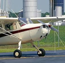 Image result for Azul Sky 1985 Fleet