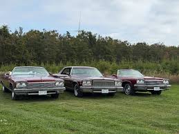 Image result for Indigo 1975 Buick