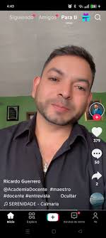 Maestros Didácticos