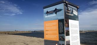 In zeeland worden de laatste jaren opvallend veel bruinvissen gespot. Nach Schweinswalen Suchen Zu Land Oder Zu Wasser Holland National Parks