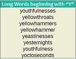 Words That Start With Y Wordrequest Com Words That Start With Y Alphabet Words Words Beginning With Y