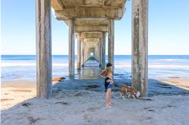 The tide is currently rising in scripps pier/la jolla. Best Places For Photography In La Jolla La Jolla Mom