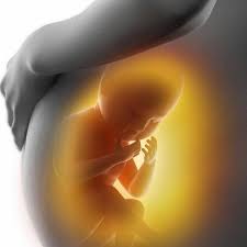 Perkembangan bayi usia 10 hingga 12 bulan. Hal Yang Anda Perlu Ketahui Tentang Gerakan Janin Dalam Kandungan Health Liputan6 Com