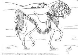 Simple horse coloring page free horse coloring page to print and color, for kids : Coloring Page Dressage Free Printable Coloring Pages Img 6087