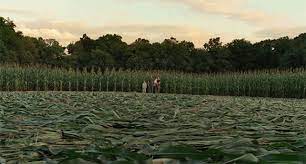 Coming out in 2002 to a mix of reviews, the alien invasion film signs has both terrified and angered fans the world over, combining horrifying glimpses of extraterrestrial intruders with an ending. Signs At 15 The Scariest Alien Movie Ever Decider