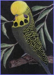 Camelle S Budgies Painting Of Dark Green Olive