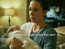 Seal Team Stella and Clay