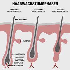 Theoretisch können sie die pille jederzeit absetzen. Haarausfall Nach Absetzen Der Pille Teil 1 Ursachen