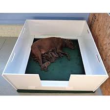 The cost of whelping boxes may be an important consideration in making your decision. The Most Important Thing You Need To Be Prepared For Whelping