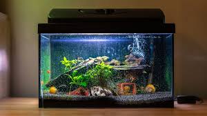 Available in many file formats including max, obj, fbx find professional aquarium 3d models for any 3d design projects like virtual reality (vr). Ide Hiasan Aquarium Yang Cantik Dan Ramah Kantong Berkeluarga