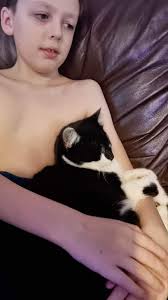 Hi has anyone lost a cat in the hindley area