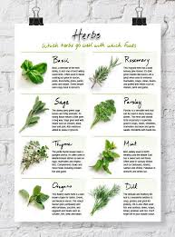 Free Printables Allfreepapercrafts Com Cooking Herbs Recipe Binders Recipe Binder Printables